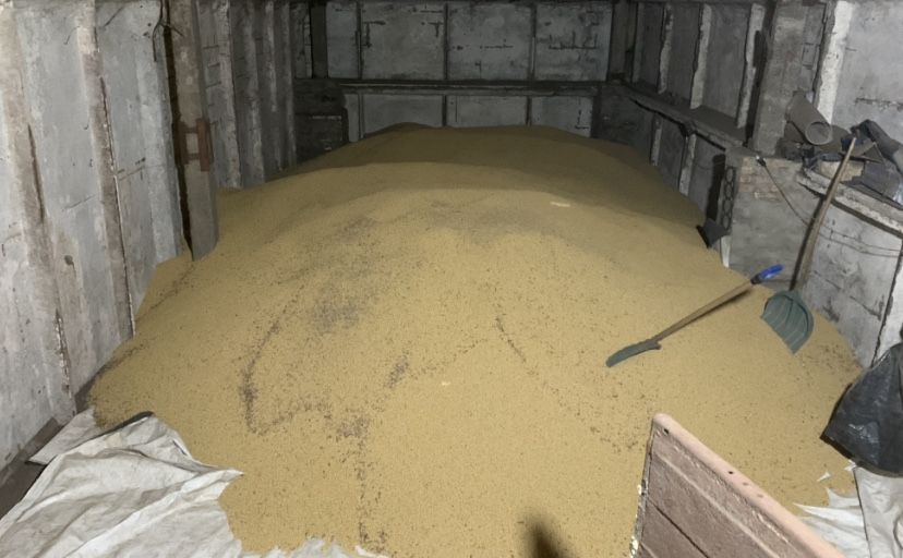 ПродамСОЮ 38 біл,половинкі сої,ячмінь,пшеницю,овес +доставка