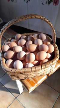 Ovos Caseiros optima qualidade