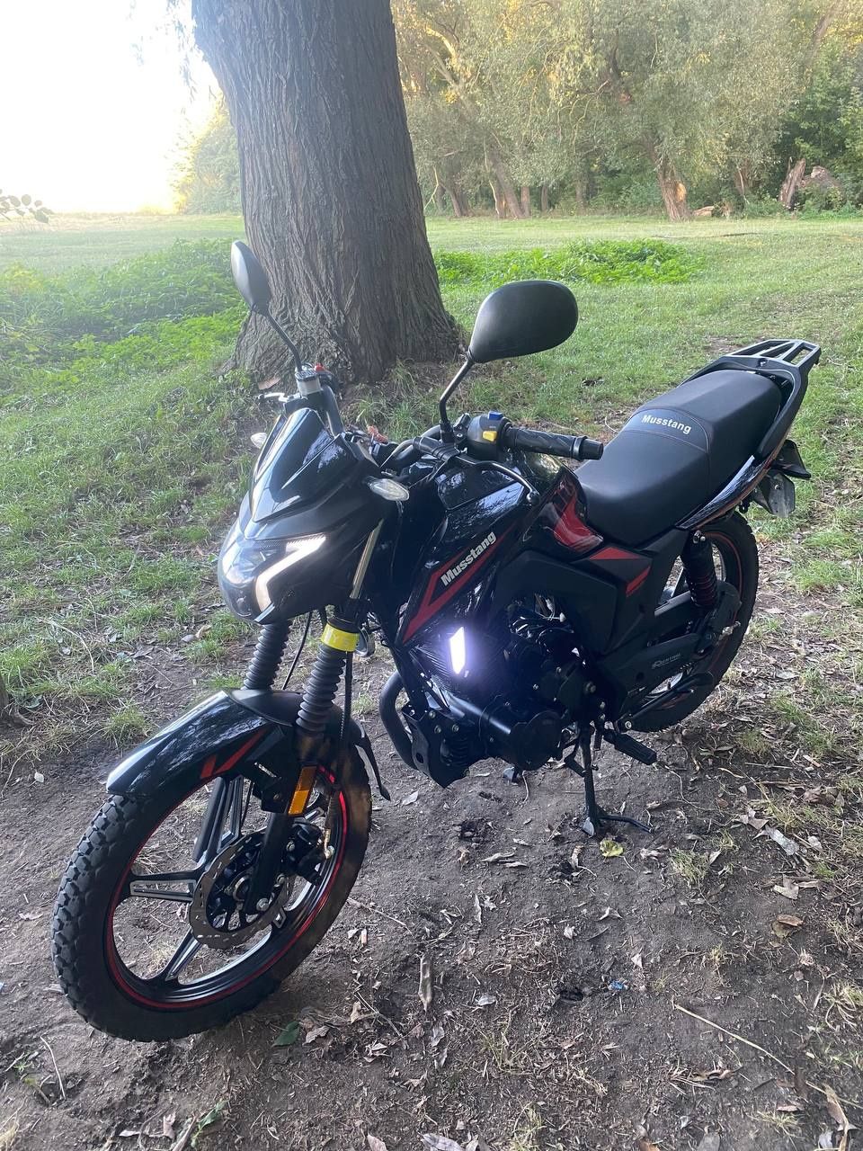 Мусстанг фортуна 250 / Musstang region Mt 250 - 9 r