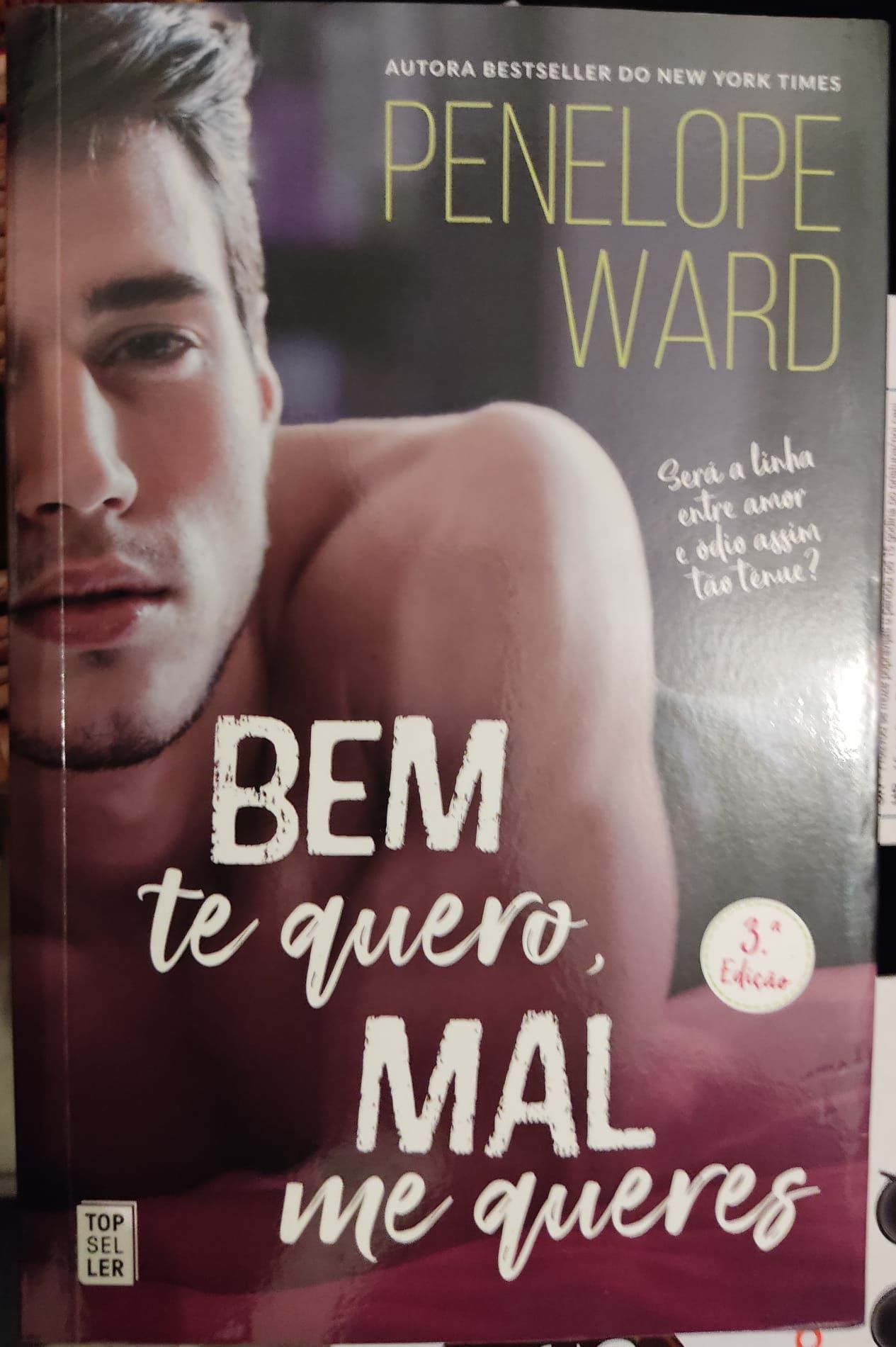 Bem te quero mal me queres - Penelope Ward