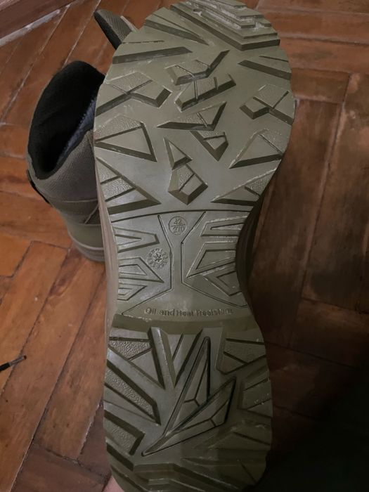 Берци талани 42 койот