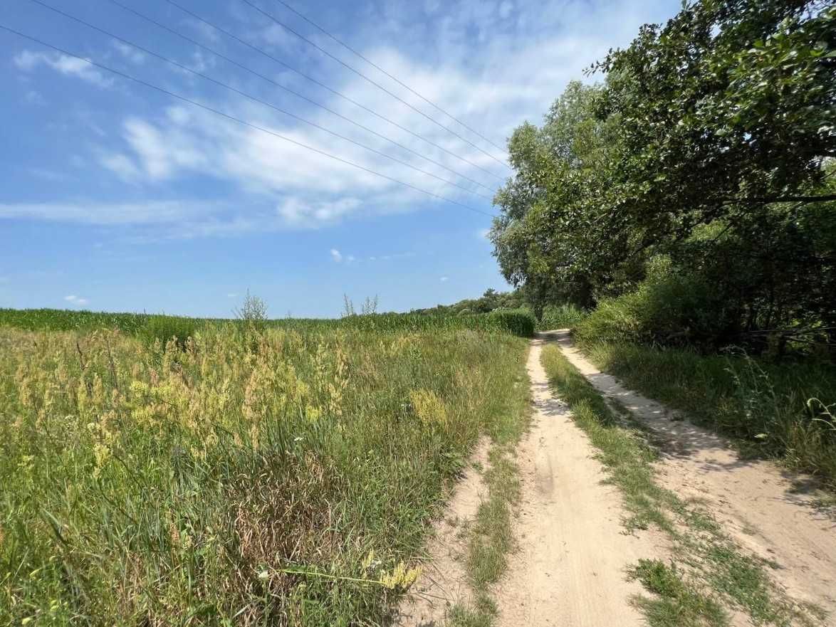 Продаж ділянки 3,11га (ОСГ). Поруч каскад озер.Фастівський р-н. ID:446