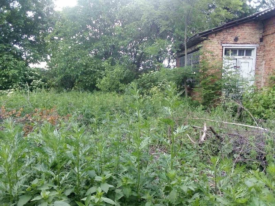 Продається земельна ділянка с.Нагірянка