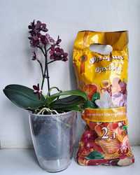 Грунт для орхидей 2 литра (кора и мох)