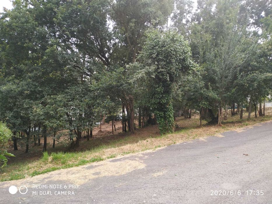 Terreno Rústico Ovar