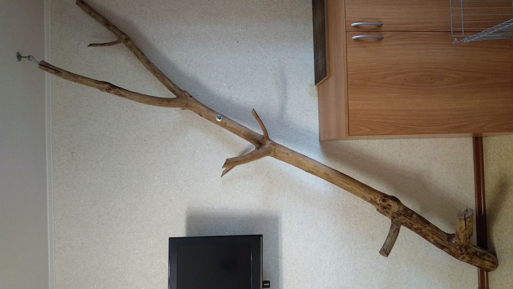 Элемент декора. Натуральное дерево.