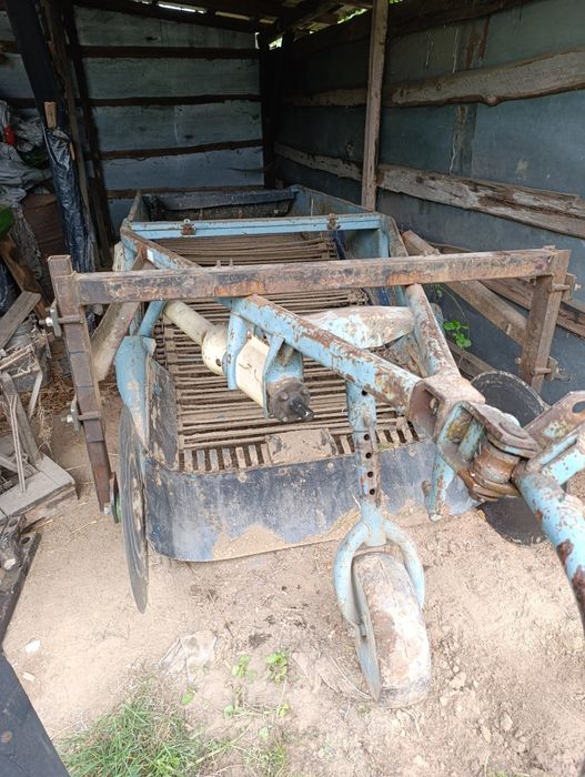 Kopaczka elewatorowe do cebuli