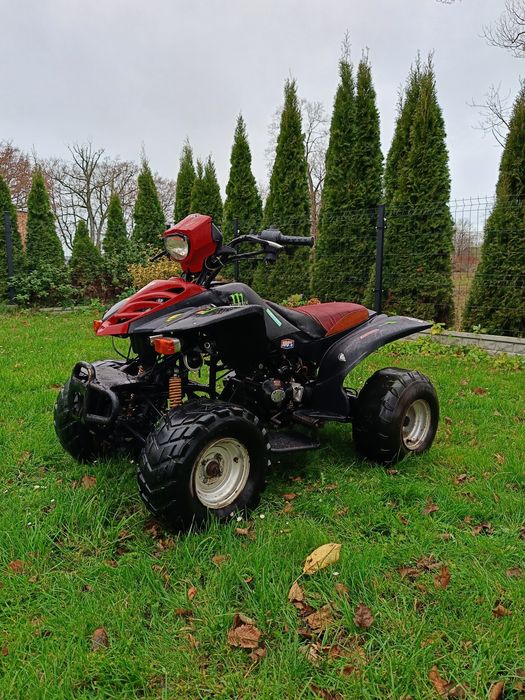 Quad 200 250 Bashan shineray ATV Kingway cross