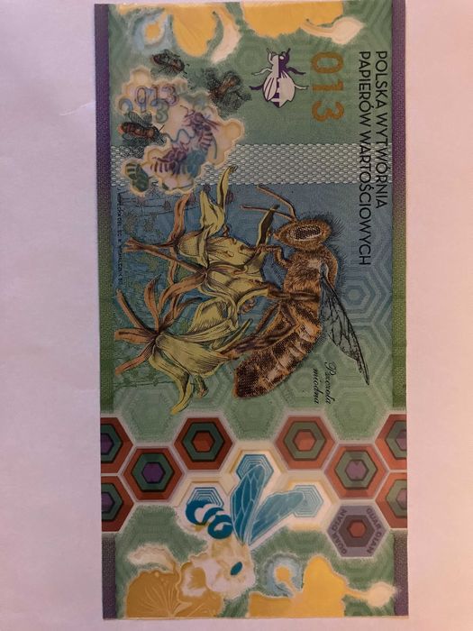 Banknot polimerowy PWPW ,,Pszczoła 13""- Destrukt