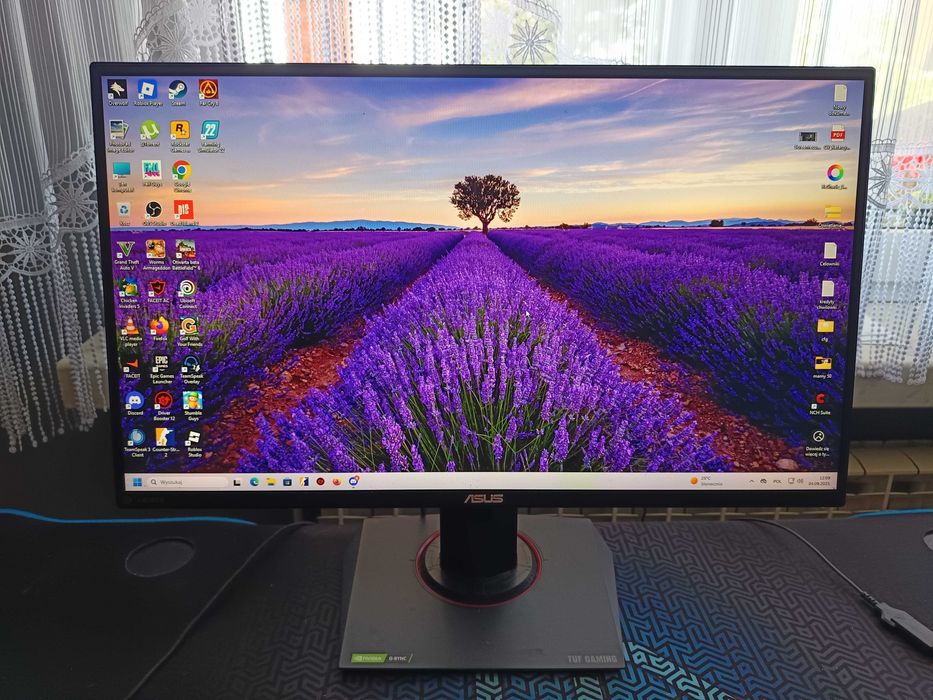 Asus rog PG259QN 360hz