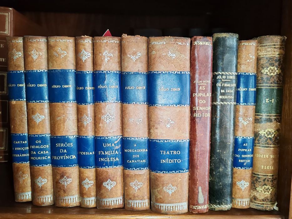 Diversos livros do autor Júlio Dinis