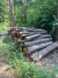 Sprzedam drewno grabowe