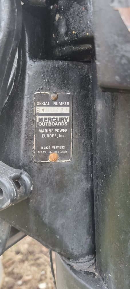 Mercury 9.8 silnik zaburtowy