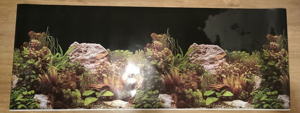 Tło do akwarium nowe 60 x 160 cm