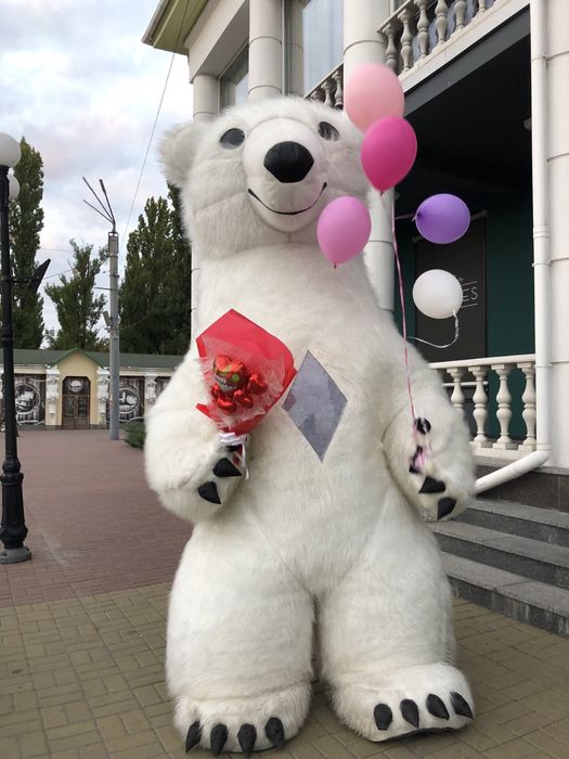 Заказ Белого медведя, шоу ,мишка на праздник поздравление аниматоры,ю