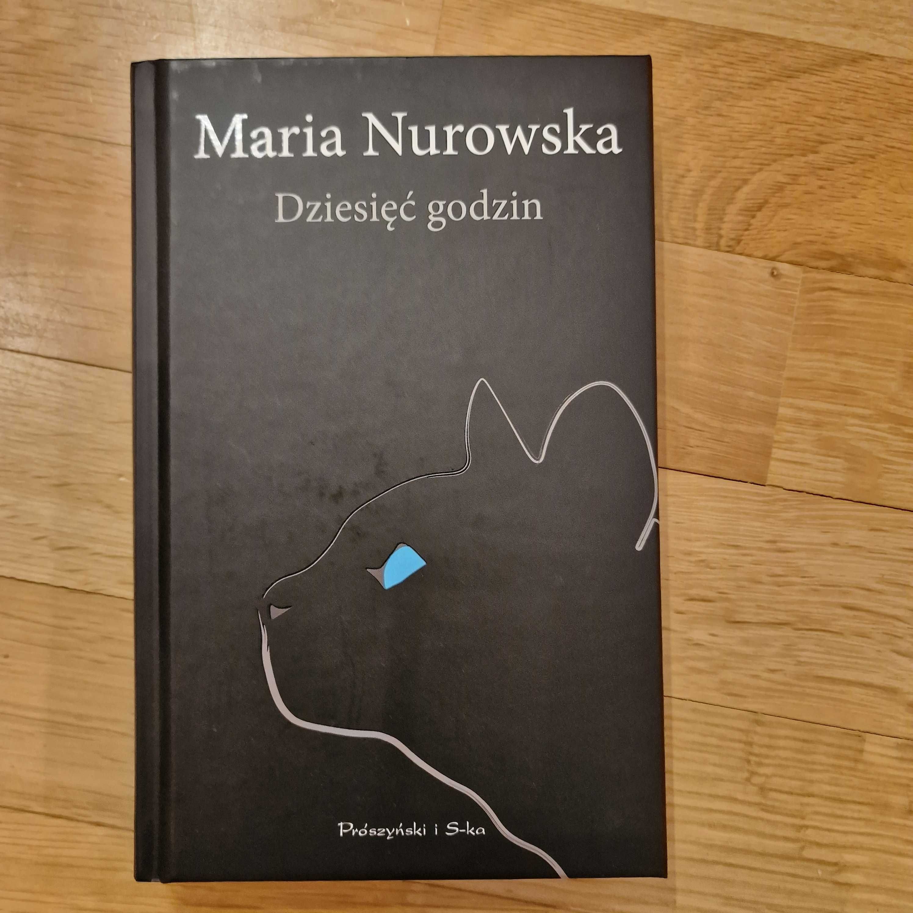 Dziesięć godzin Maria Nurowska