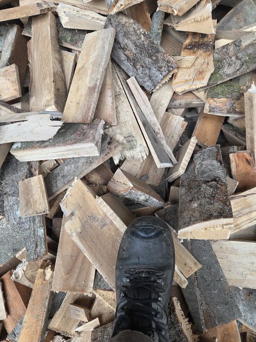 Opał bukowy jak gałęziówka buk