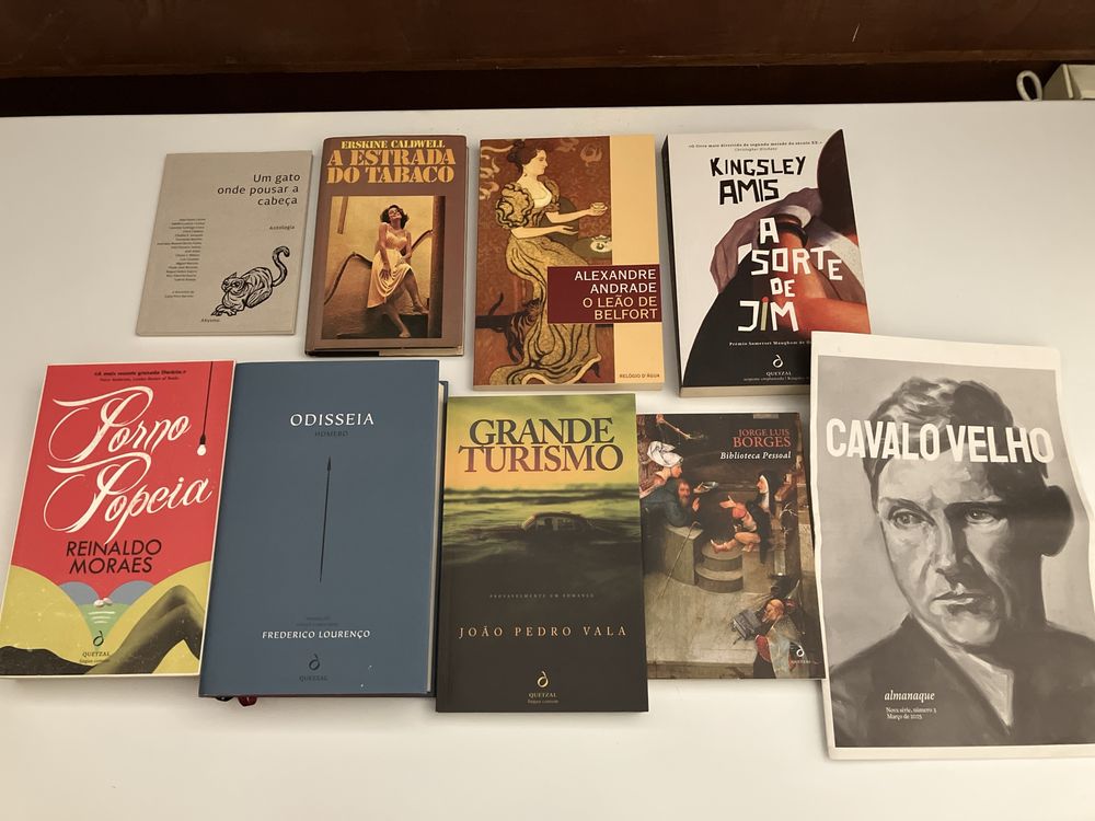 Livros Literatura Nacional/Internacional(ver preço individual)
