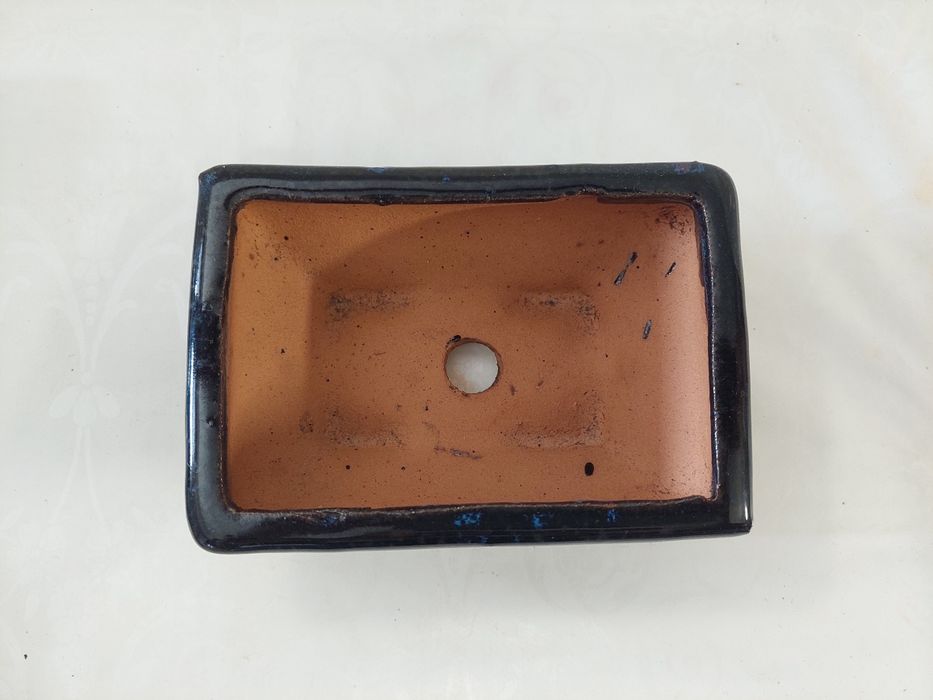 Vasos de bonsai e placas