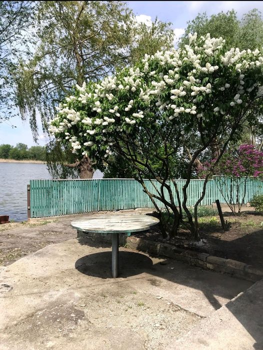 Будинок біля річки