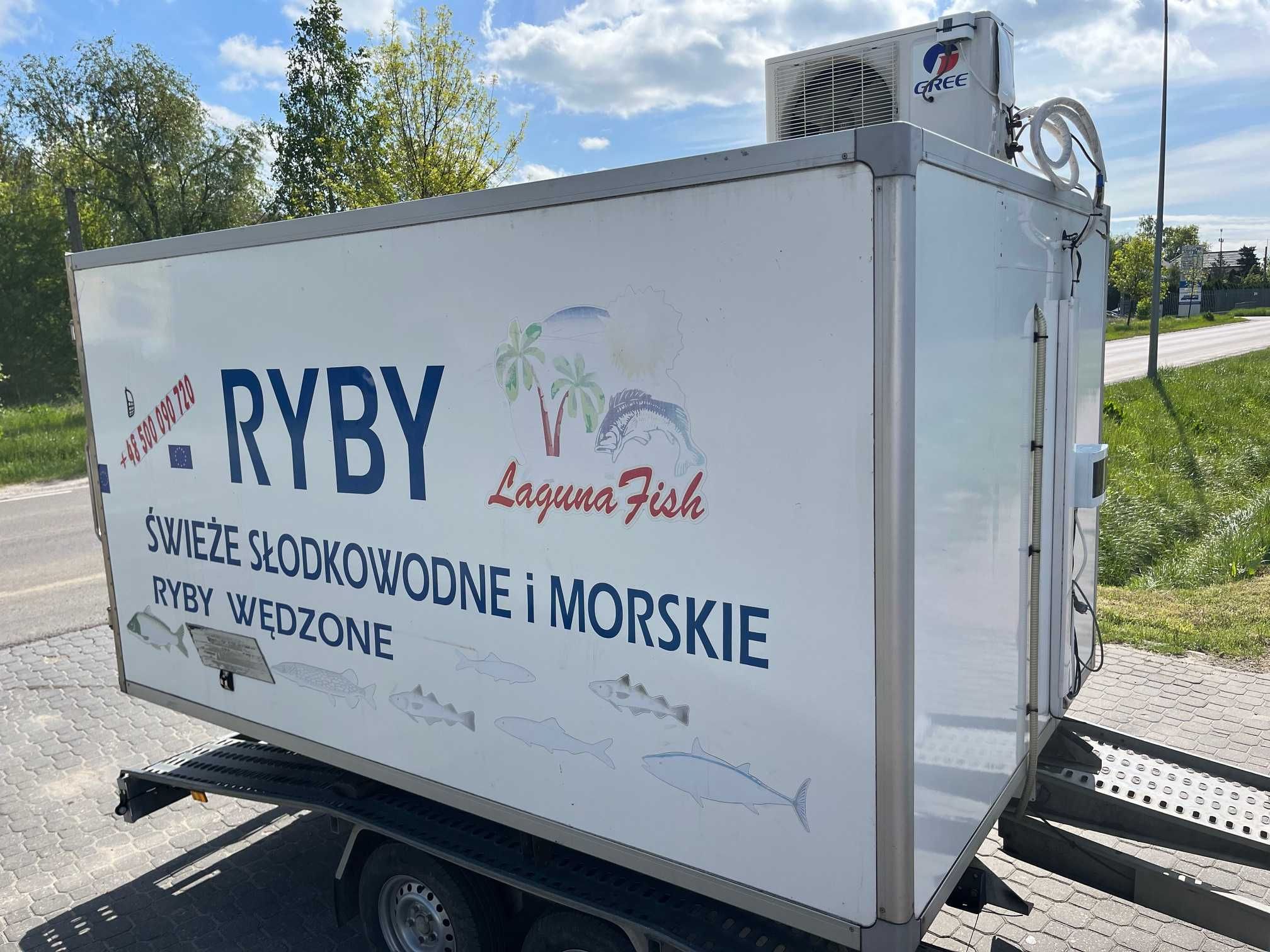 KONTENER CHŁODNIA STACJONARNA Carrier 230V Kontener Chłodniczy 3m