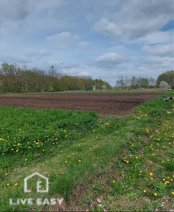 Продаж земельної ділянки в с. Велика Березовиця