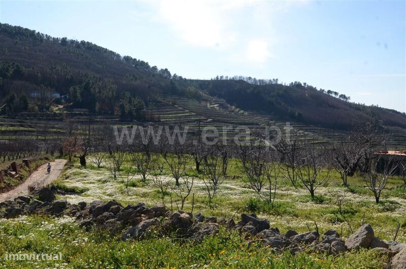 Quinta / Fundão, Aldeia de Joanes