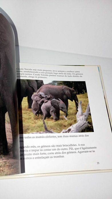 O Livro da Família dos Elefantes