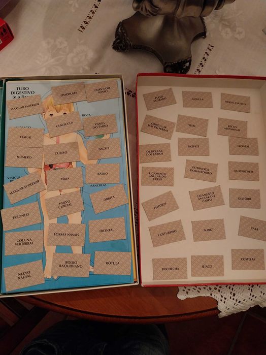 Jogo de tabuleiro, Anatomia, da Majora, 6-9 anos, 1-4 jogadores