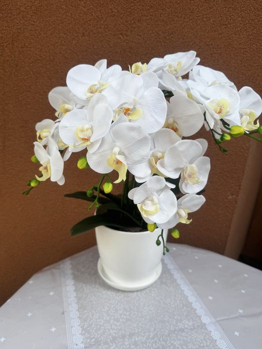 Латексні орхідеї