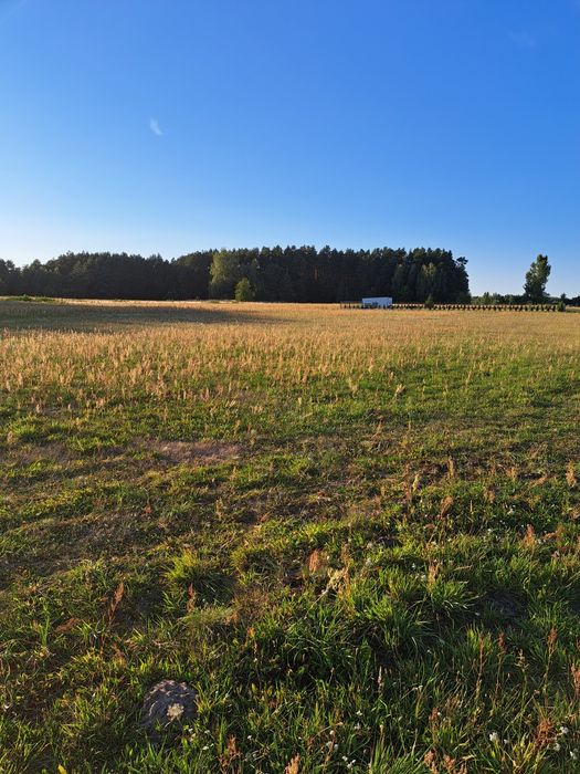 Sprzedam działkę budowlaną 1400m² w Ptaszkowicach