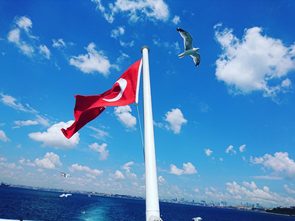 Korepetycje - Turecki online