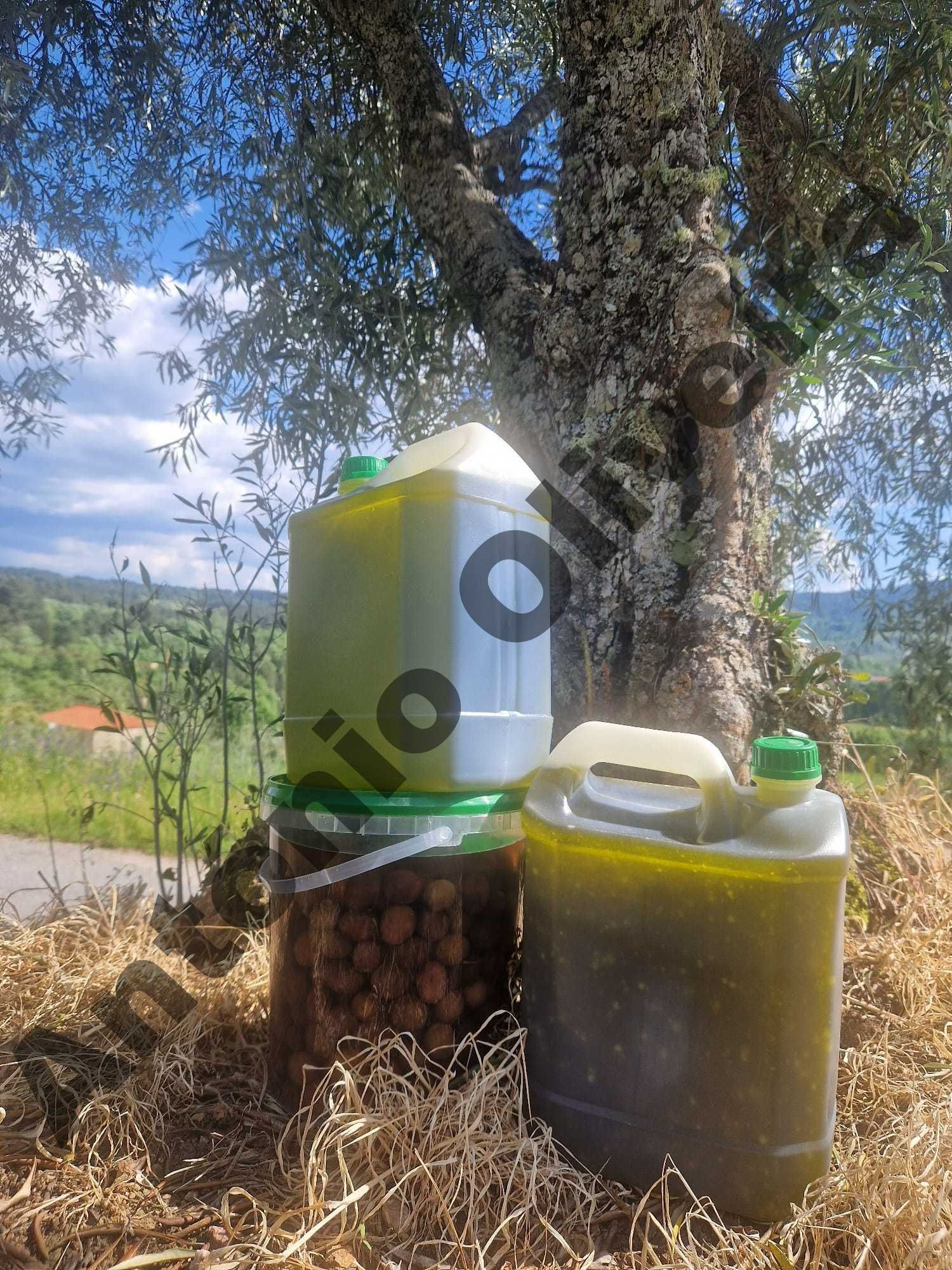 Vendo azeite da minha produção