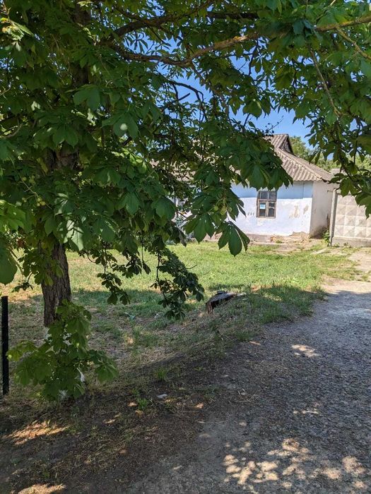 Квартира/будинок, з ділянкою.