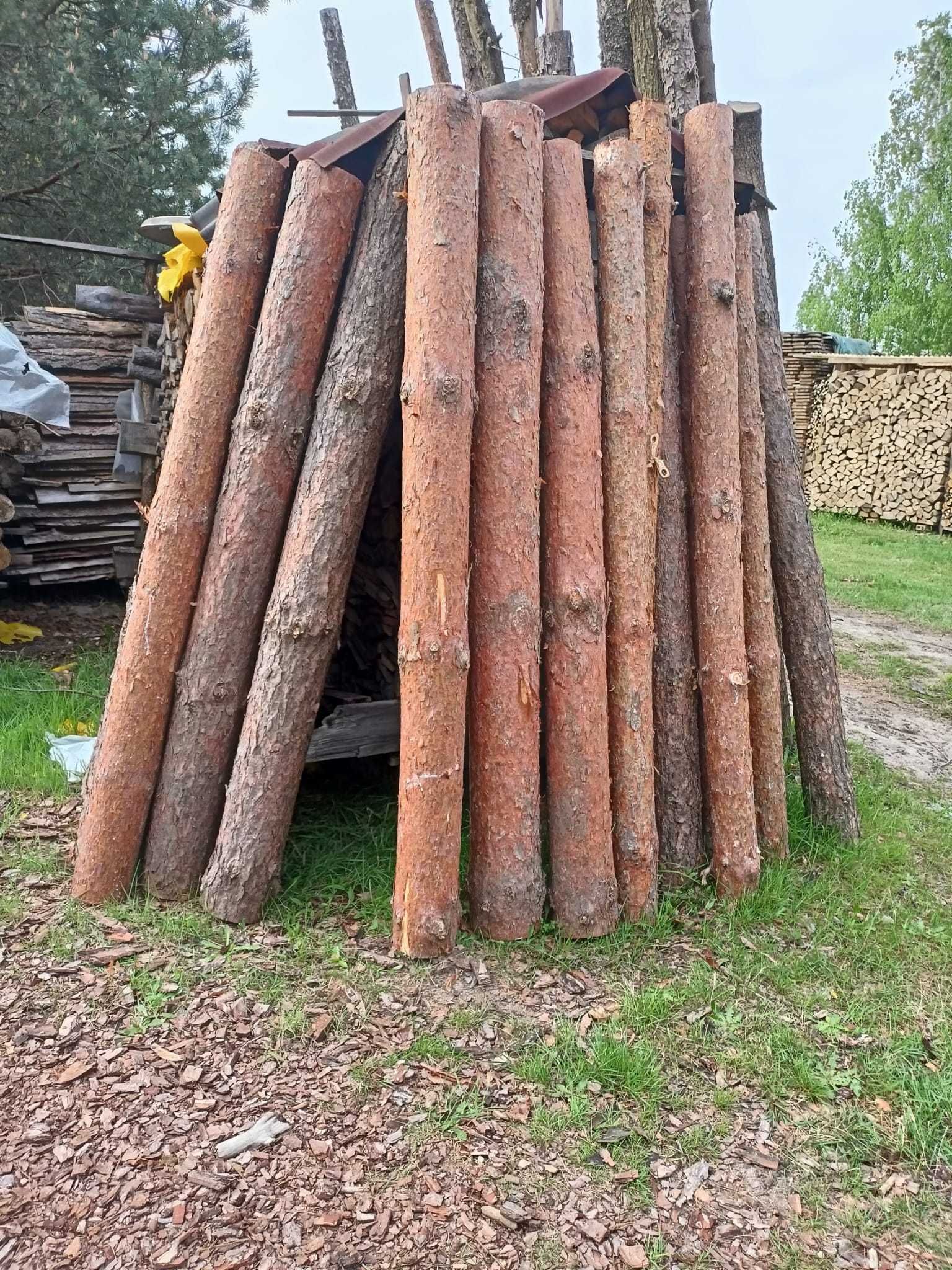 Stemple drewniane oraz słupy ogrodzeniowe drewniane