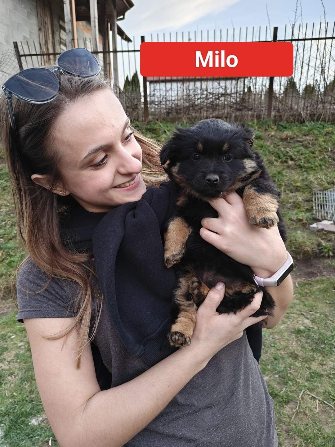 Adopcja Milo i Zazu