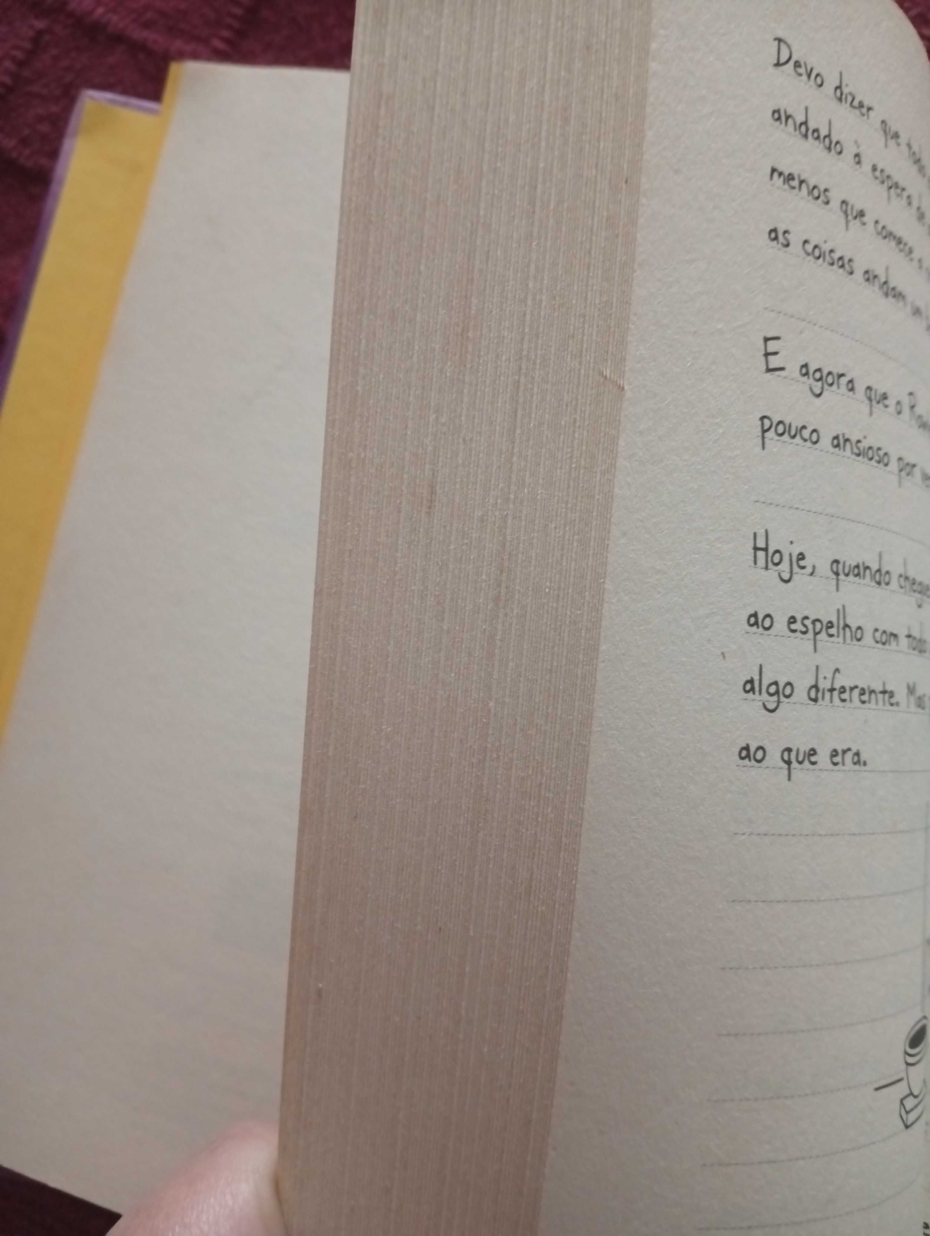 Diário de um Banana livro 5
