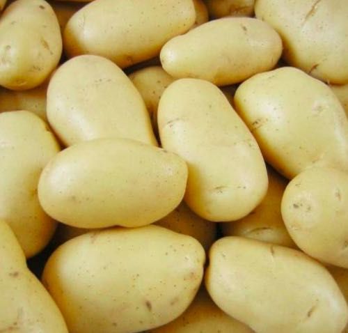 Продаю картоплю, цибулю Кіровоградська, Черкаська область