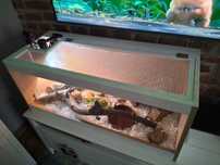 Terrarium 90x40 płyta meblowa