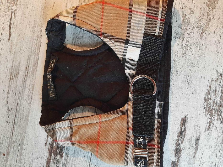 Ubranka Angielskie dla pieska