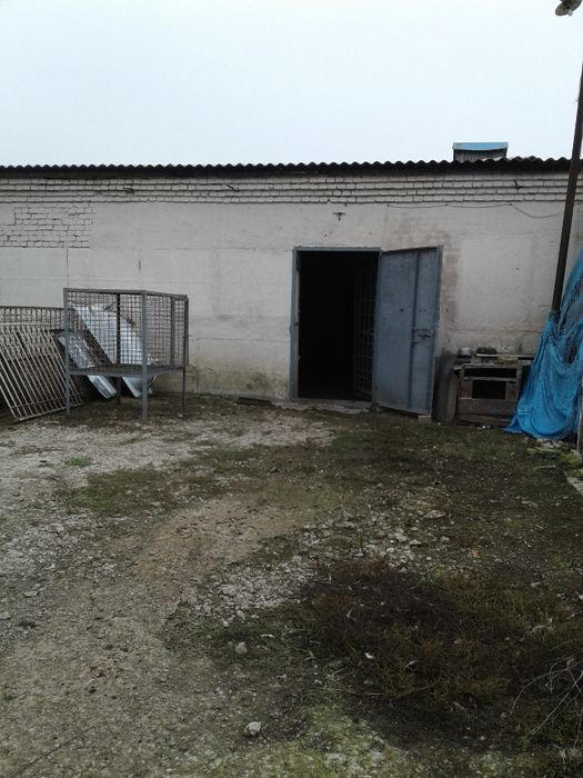 Продам отдельностоящую животноводческую ферму в Криворожском районе