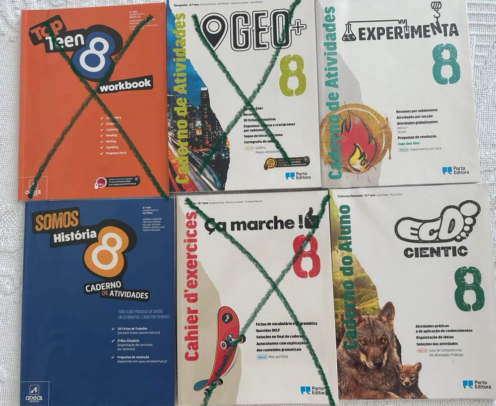 Cadernos actividadrs 8 ano