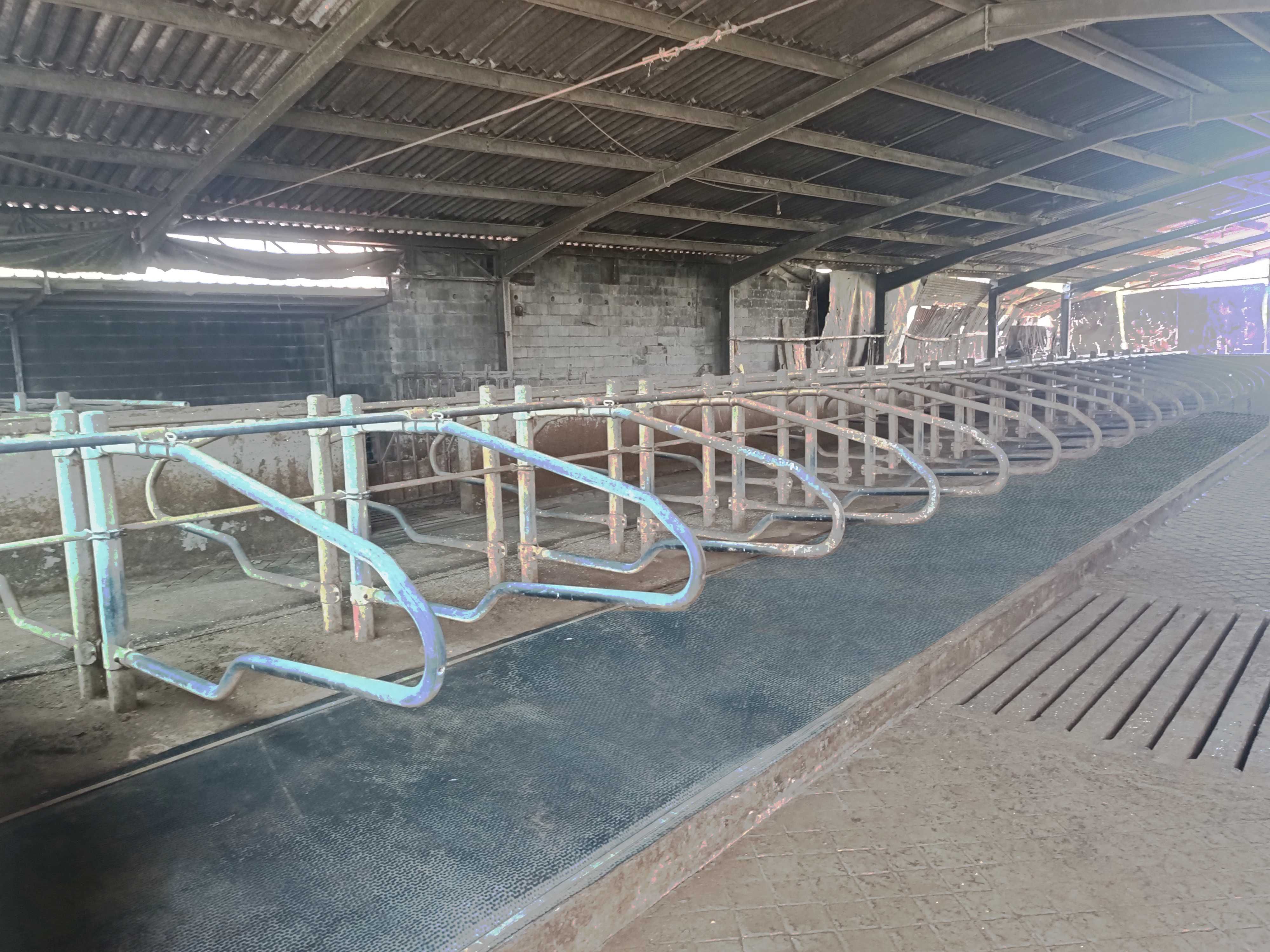 Tapete de Borracha para camas animais DeLaval M40R – Semi-novo