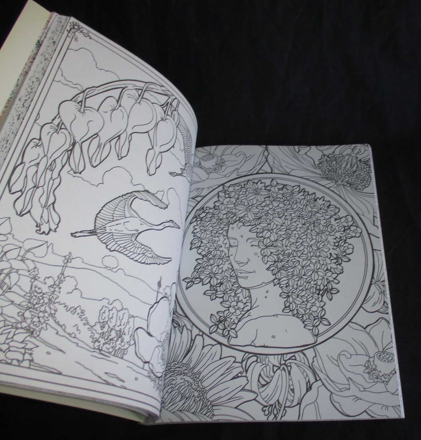 Livro O meu jardim de sonho Pintar & Descontrair Colorir Anti-stress