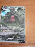 Blaziken v e V max, regidrago tudo raro