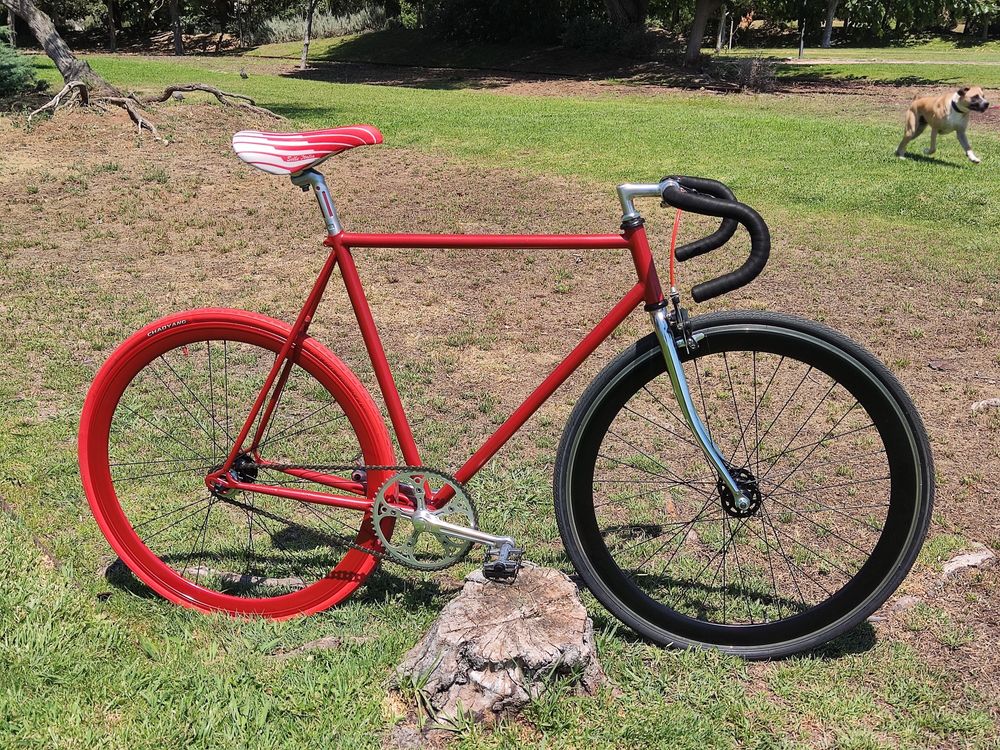 Bicicleta single speed/fixed