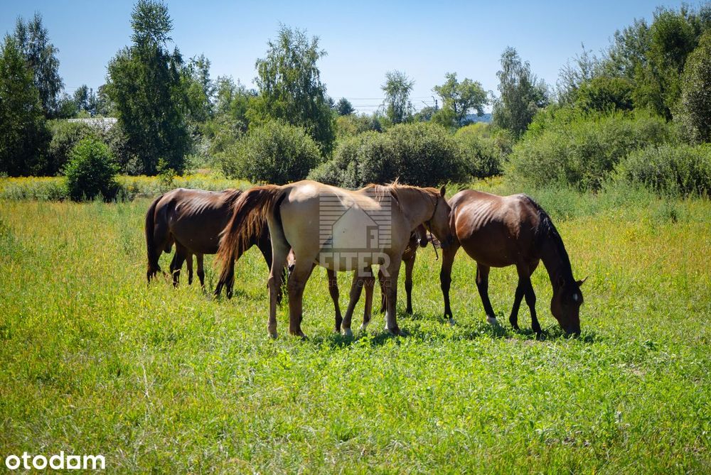 Działka budowlana w świetnej cenie! tylko 5500 zł/ ar!