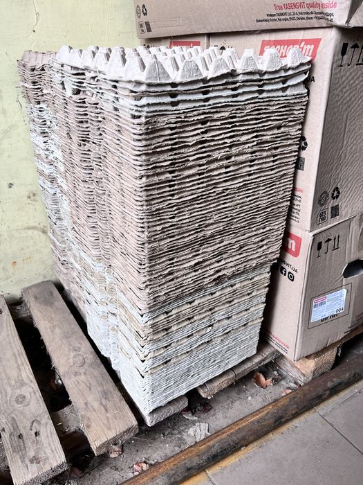 Лотки картонні для яєць 250шт, розсади, розпалки на 30шт. тара , ящик.