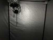 Tenda com luzes grow