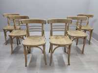 Szlifowane krzesła drewniane Fameg gięte 20 szt.